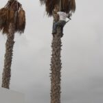 lanzarote builders 0105